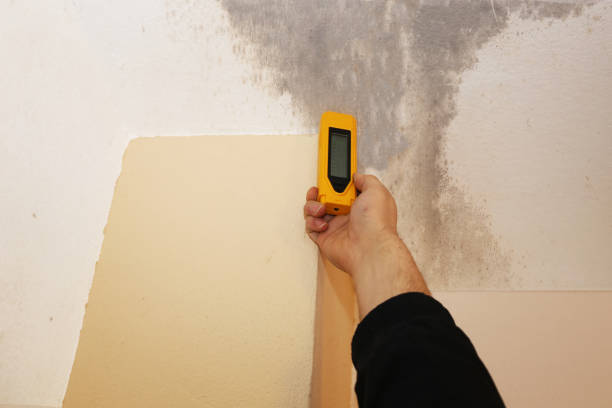Best Mold Removal for HVAC Installations  in Carefree, AZ