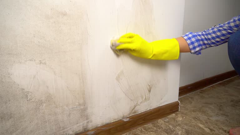 Best Residential Mold Inspection & Testing  in Carefree, AZ